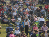 winkler harvest festival