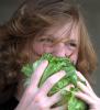 lettuce 2
