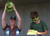 lettuce 1