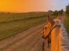 sunset_Ania L.jpg
