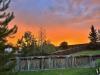 sunset_Sandra Croeze McCrimmon.jpg