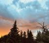 sunset_Sandy Johnson.jpg