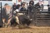 PBR Kindersley 17.jpg