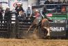 PBR Kindersley 19.jpg