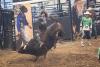 PBR Kindersley 4.jpg