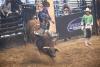 PBR Kindersley 5.jpg