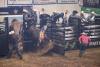 PBR Kindersley 6.jpg