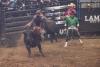 PBR Kindersley 7.jpg