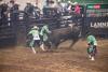 PBR Kindersley 8.jpg
