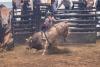 PBR Kindersley 9.jpg